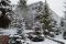 UCHEBNO-MATERIALNAY BAZA (14)