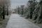 UCHEBNO-MATERIALNAY BAZA (25)